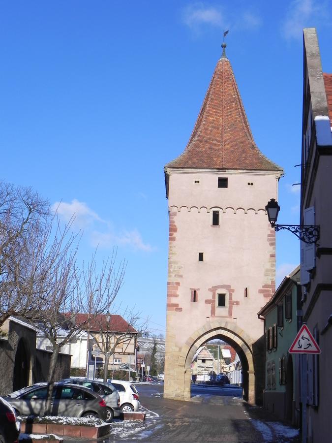 Ferienwohnung Nid De Cigognes Rosheim Exterior foto